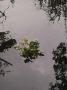 2017-06-06 Wędrówka dookoła jeziora Starzyca w Chociwlu