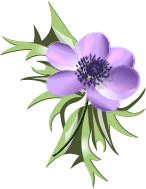 Anemonepurple_1