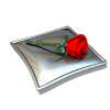roze_4 roze_4